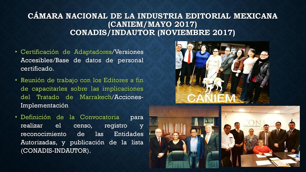 Cámara nacional de la industria editorial mexicana (CANIEM/Mayo 2017) CONADIS/INDAUTOR (Noviembre 2017)