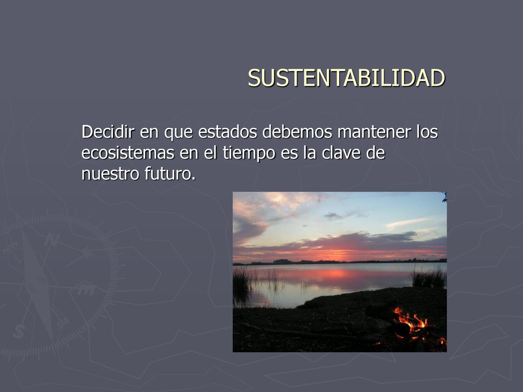 SUSTENTABILIDAD Decidir en que estados debemos mantener los ecosistemas en el tiempo es la clave de nuestro futuro.