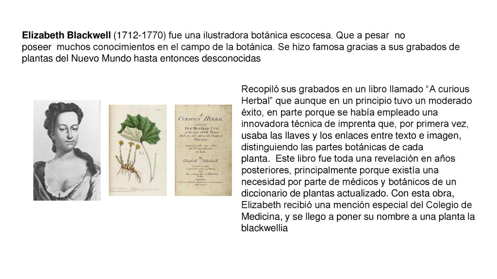 Elizabeth Blackwell ( ) fue una ilustradora botánica escocesa