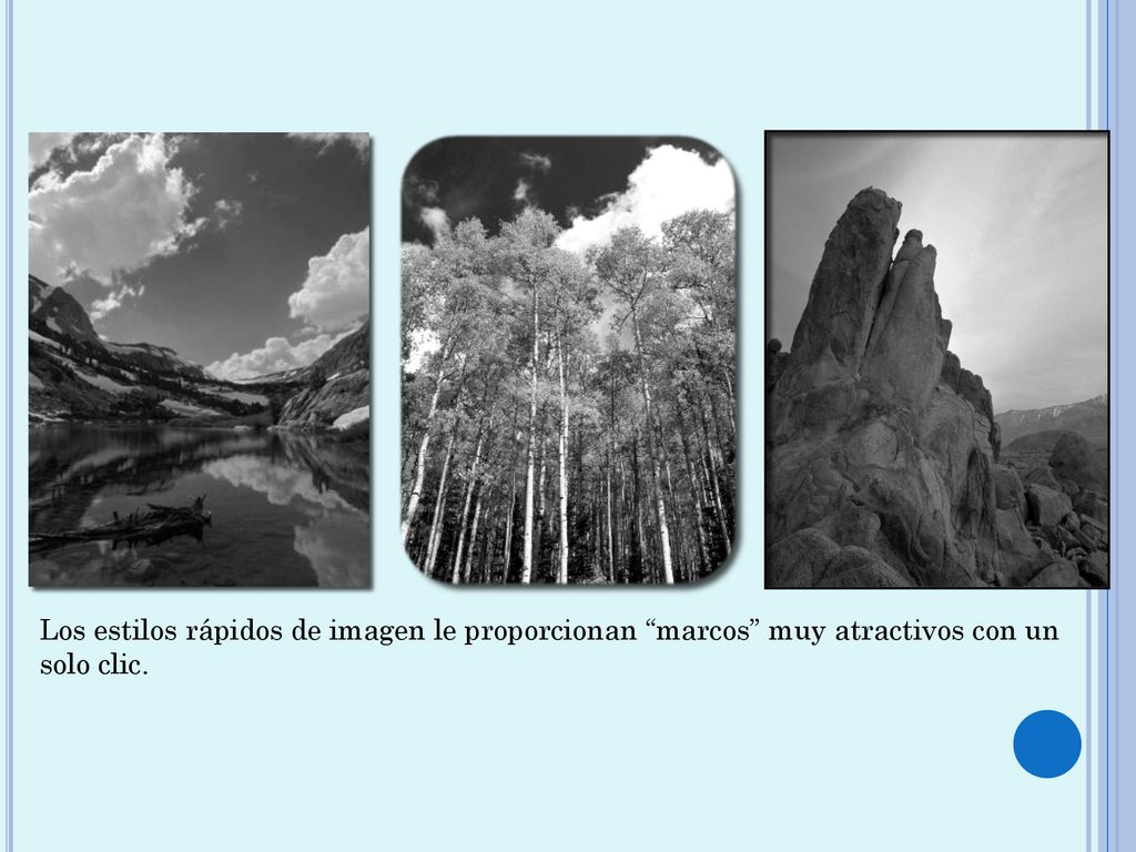 Los estilos rápidos de imagen le proporcionan marcos muy atractivos con un solo clic.