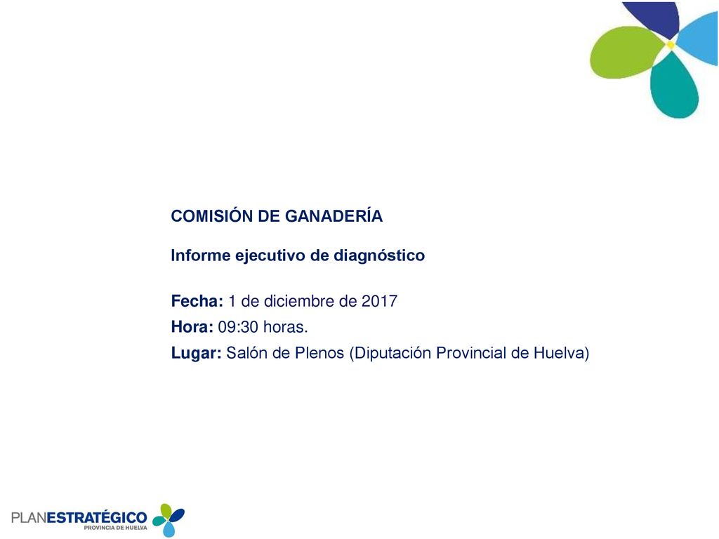 Informe ejecutivo de diagnóstico Fecha: 1 de diciembre de 2017