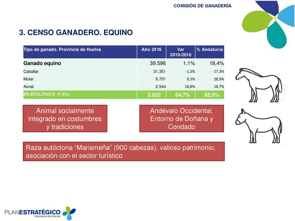 3. CENSO GANADERO. EQUINO Tipo de ganado. Provincia de Huelva. Año Var % Andalucía.