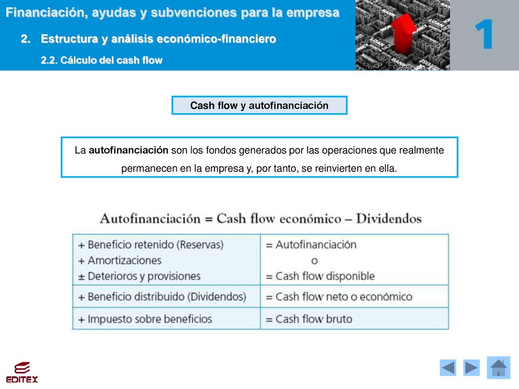 1. Necesidades financieras - ppt descargar