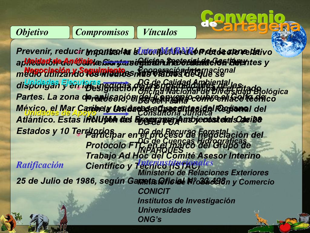 Convenio de Cartagena Objetivo Compromisos Vínculos Ratificación