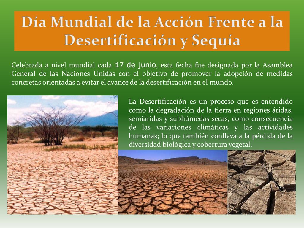 Día Mundial de la Acción Frente a la Desertificación y Sequía
