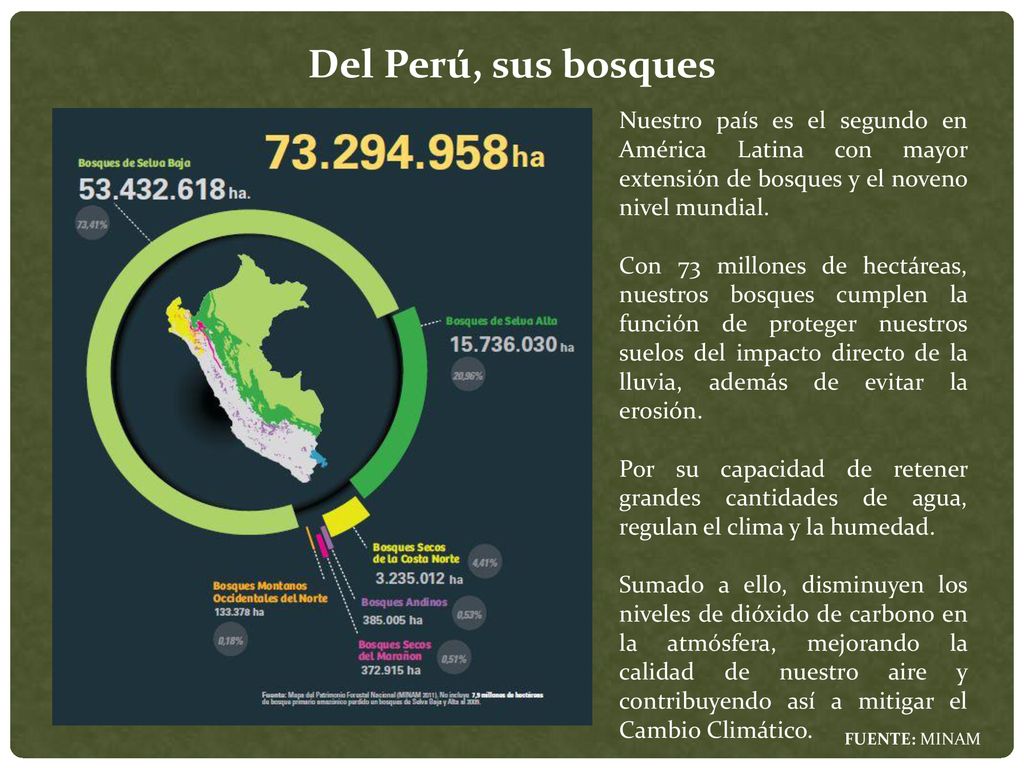 Del Perú, sus bosques Nuestro país es el segundo en América Latina con mayor extensión de bosques y el noveno nivel mundial.