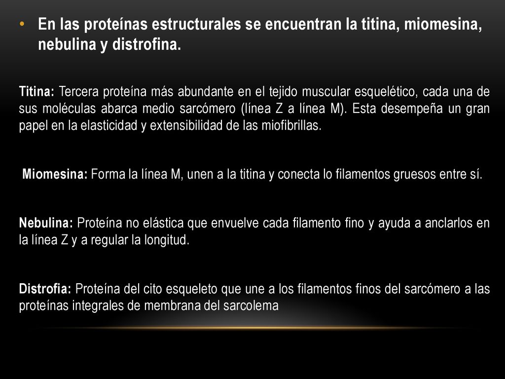 En las proteínas estructurales se encuentran la titina, miomesina, nebulina y distrofina.