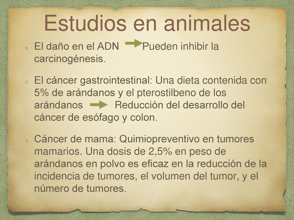 Estudios en animales El daño en el ADN Pueden inhibir la carcinogénesis.