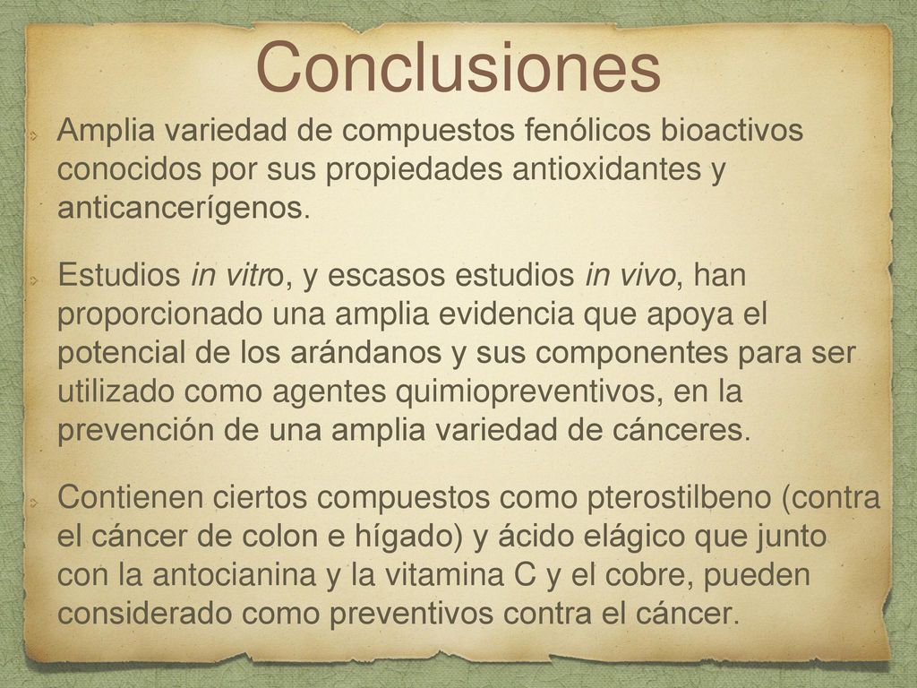 Conclusiones Amplia variedad de compuestos fenólicos bioactivos conocidos por sus propiedades antioxidantes y anticancerígenos.