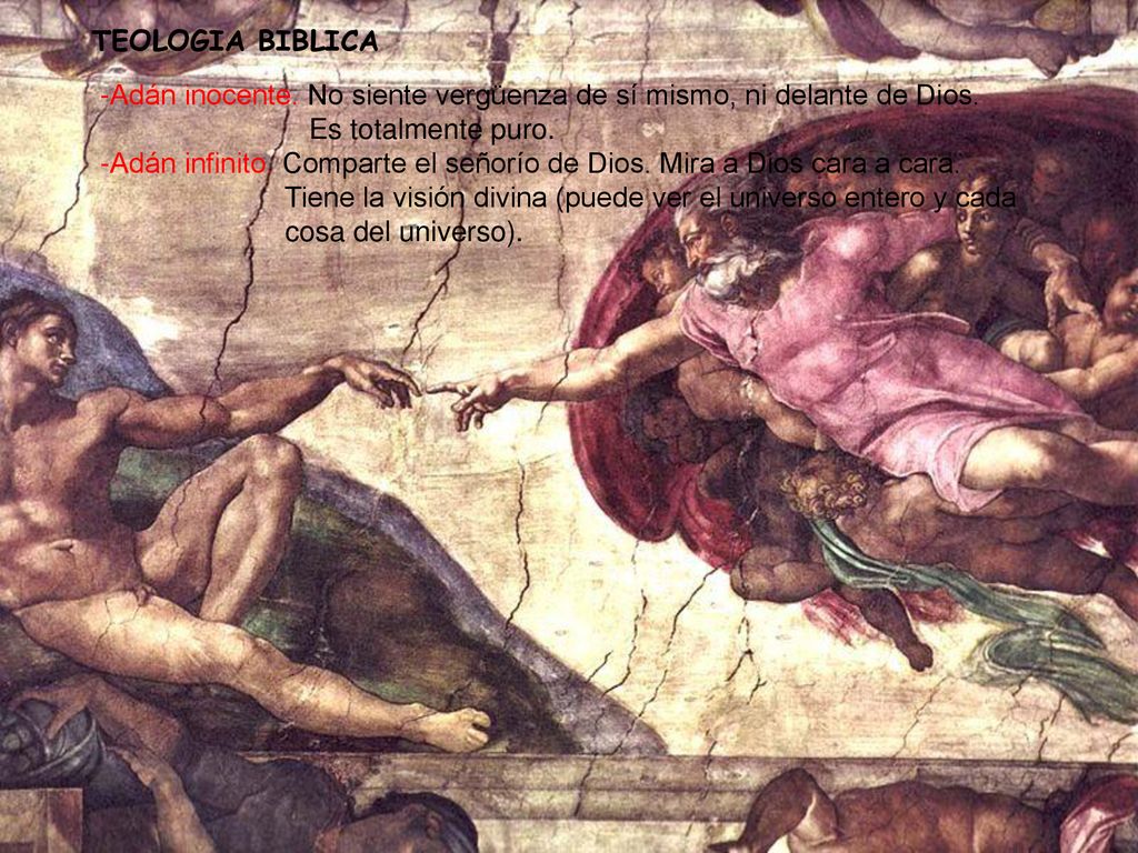 TEOLOGIA BIBLICA -Adán inocente. No siente vergüenza de sí mismo, ni delante de Dios. Es totalmente puro.