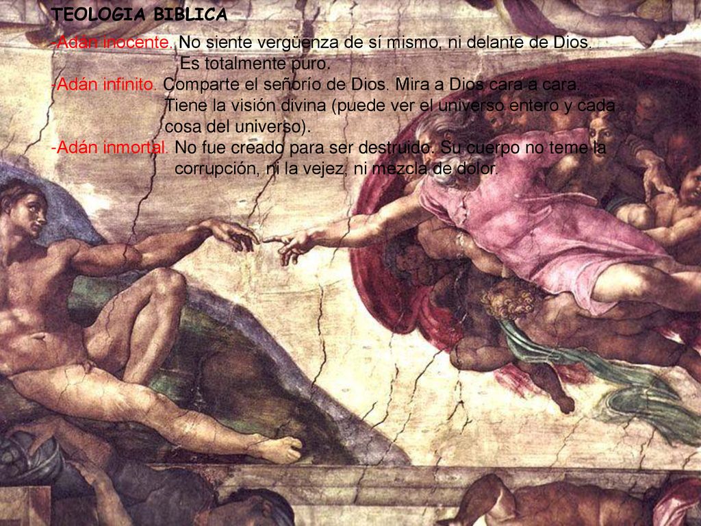 TEOLOGIA BIBLICA -Adán inocente. No siente vergüenza de sí mismo, ni delante de Dios. Es totalmente puro.