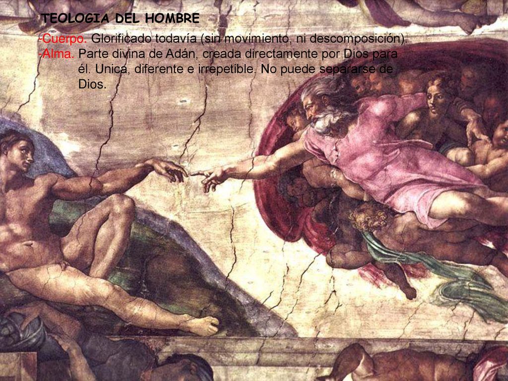 TEOLOGIA DEL HOMBRE -Cuerpo. Glorificado todavía (sin movimiento, ni descomposición).