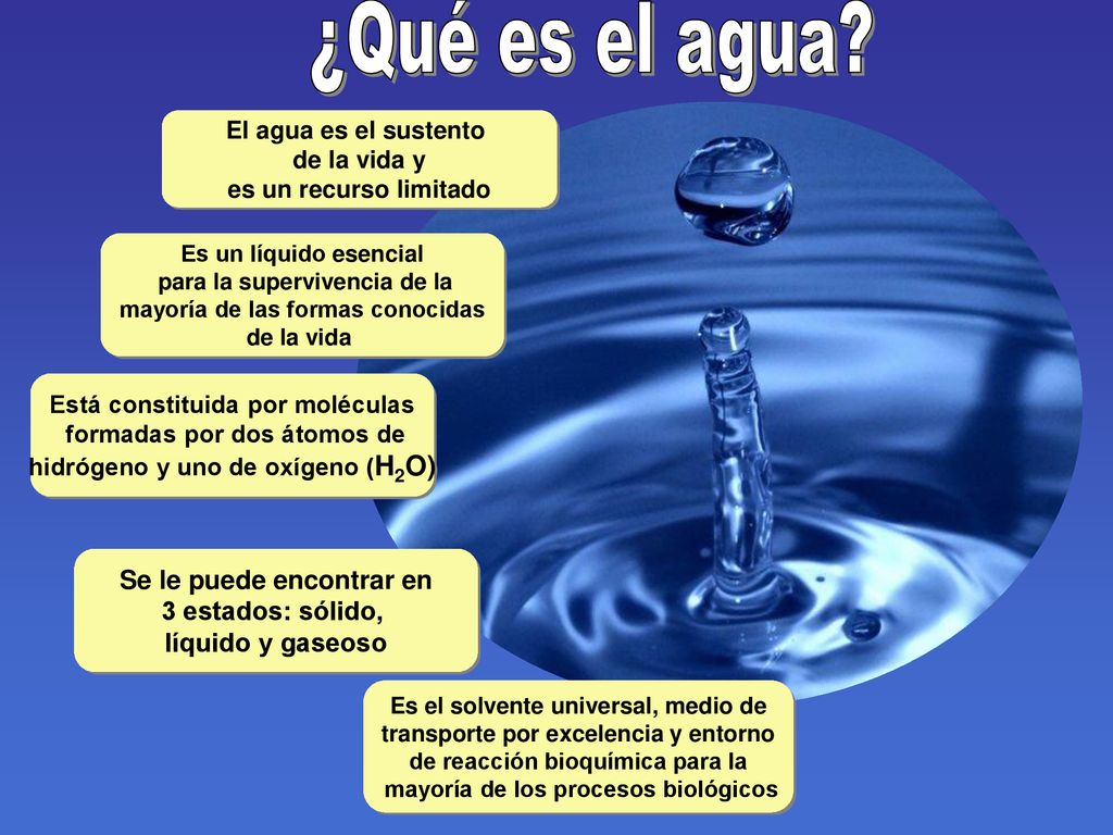 ¿Qué es el agua Se le puede encontrar en 3 estados: sólido,