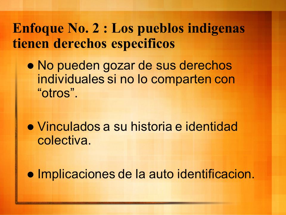 Enfoque No. 2 : Los pueblos indigenas tienen derechos especificos