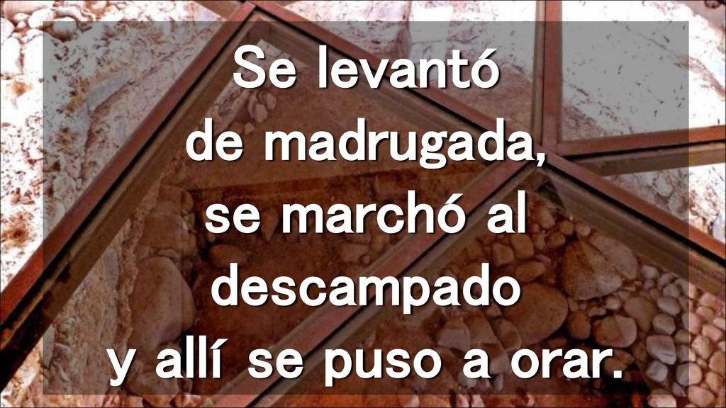 Se levantó de madrugada, se marchó al descampado y allí se puso a orar.