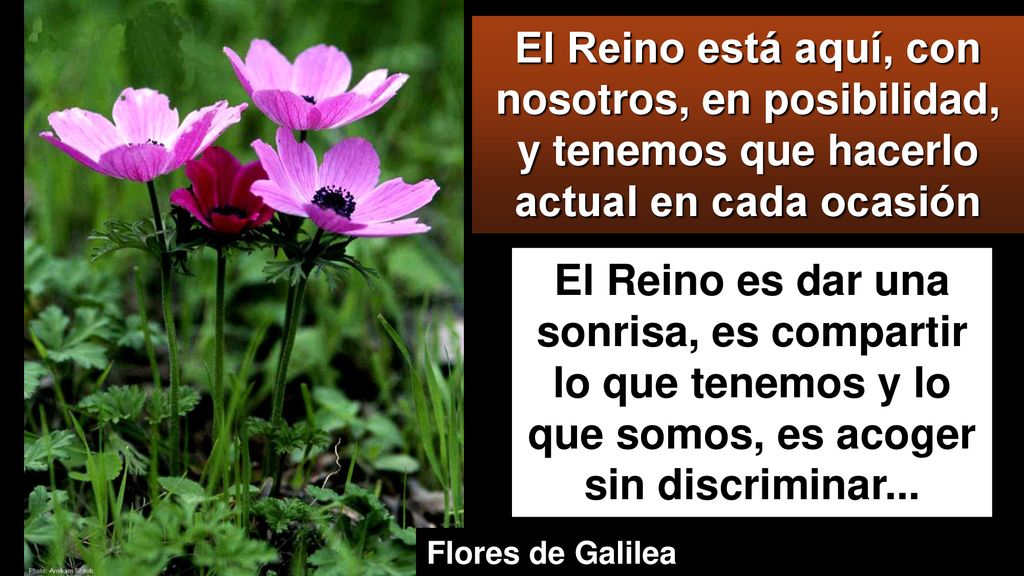 El Reino está aquí, con nosotros, en posibilidad, y tenemos que hacerlo actual en cada ocasión