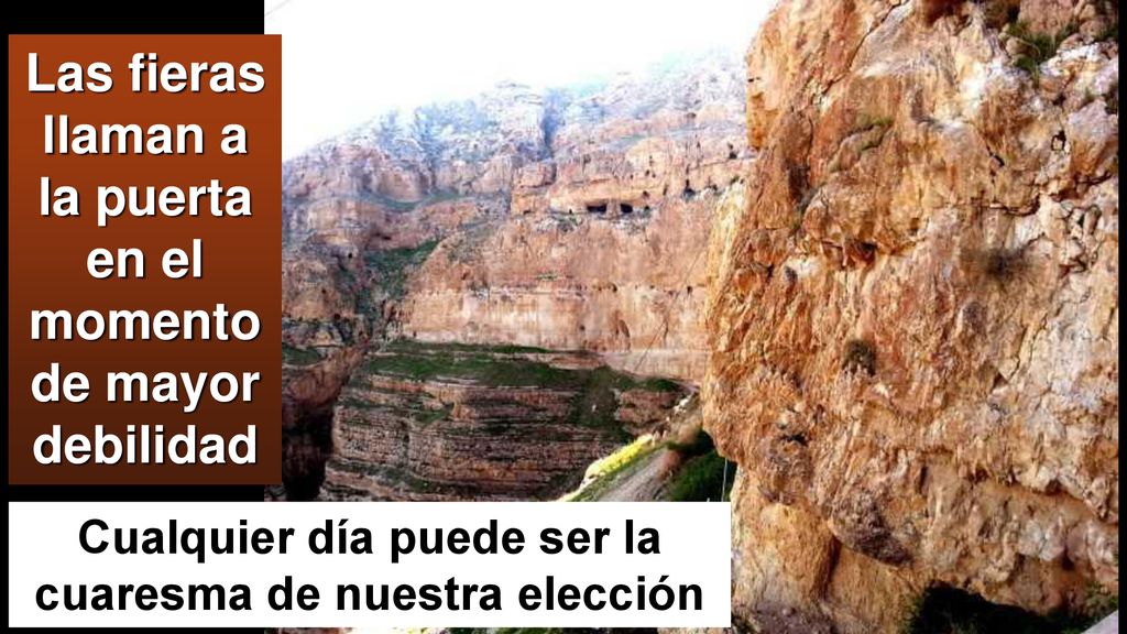 Las fieras llaman a la puerta en el momento de mayor debilidad