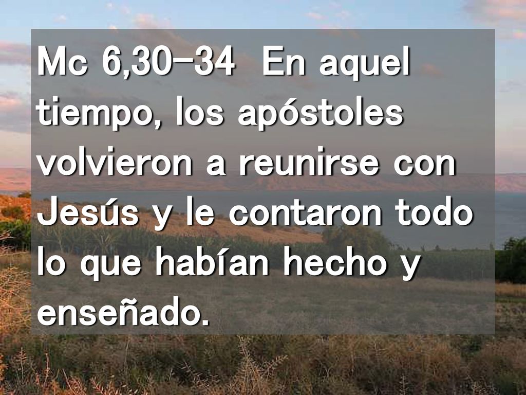 Mc 6,30-34 En aquel tiempo, los apóstoles volvieron a reunirse con Jesús y le contaron todo lo que habían hecho y enseñado.
