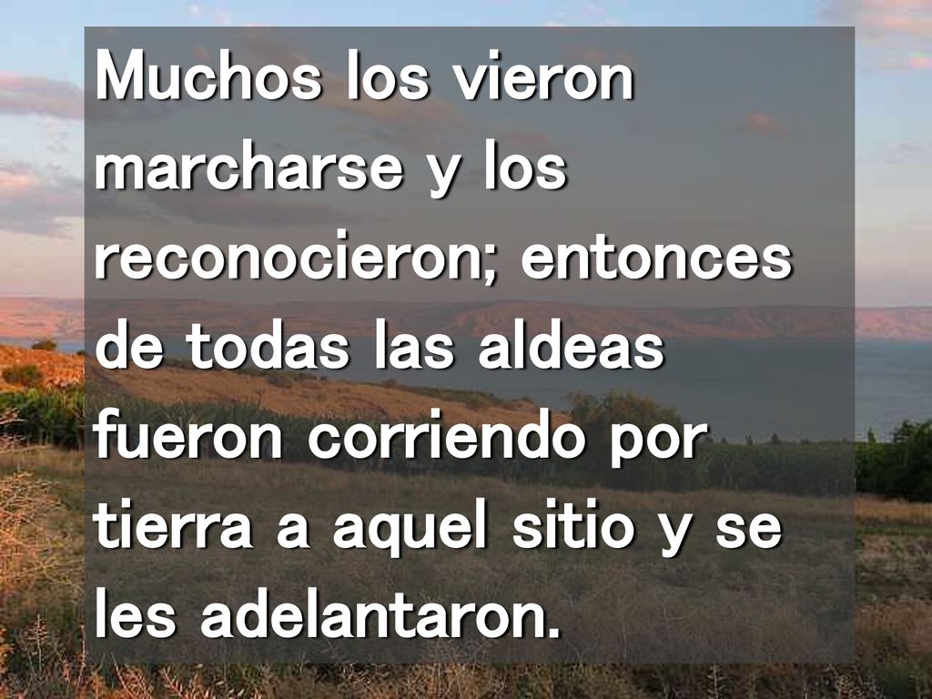 Muchos los vieron marcharse y los reconocieron; entonces de todas las aldeas fueron corriendo por tierra a aquel sitio y se les adelantaron.