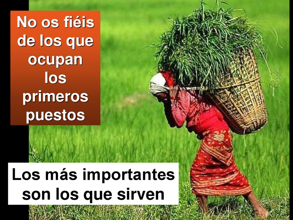 No os fiéis de los que ocupan Los más importantes son los que sirven