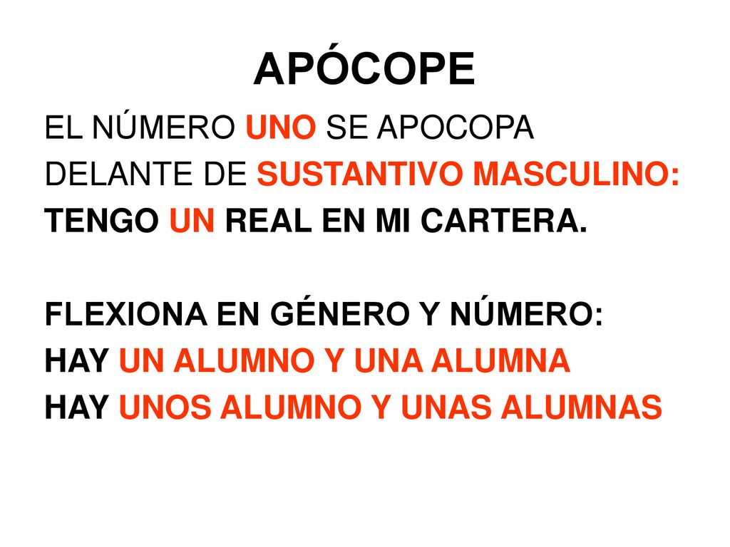 APÓCOPE EL NÚMERO UNO SE APOCOPA DELANTE DE SUSTANTIVO MASCULINO: