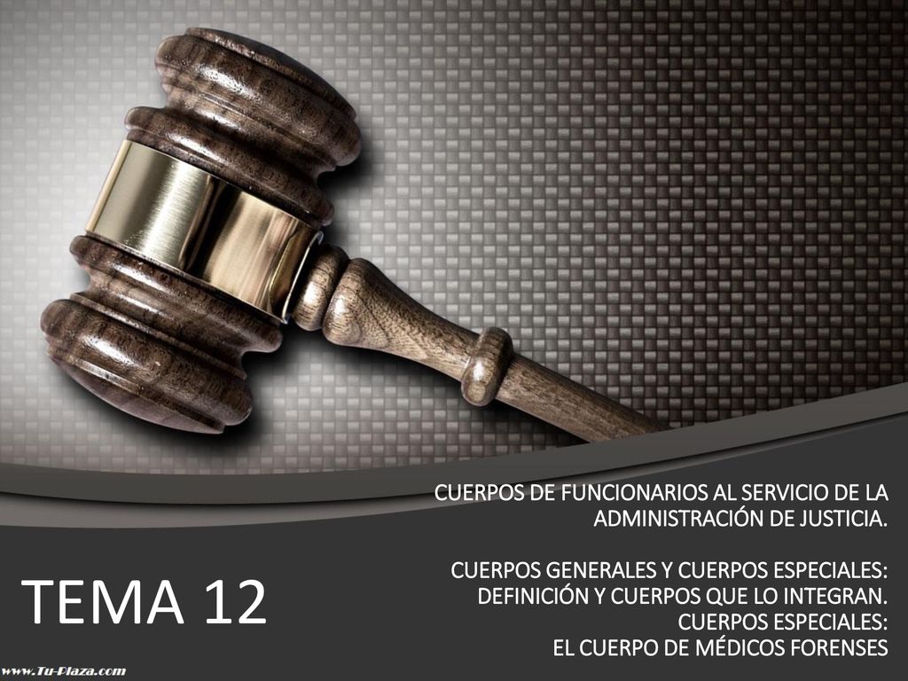 CUERPOS DE FUNCIONARIOS AL SERVICIO DE LA ADMINISTRACIÓN DE JUSTICIA