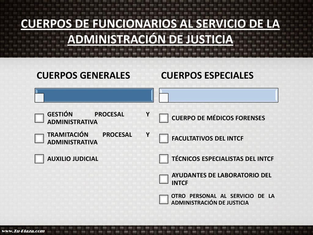 CUERPOS DE FUNCIONARIOS AL SERVICIO DE LA ADMINISTRACIÓN DE JUSTICIA