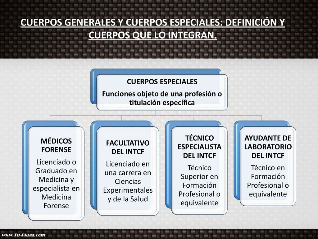 CUERPOS GENERALES Y CUERPOS ESPECIALES: DEFINICIÓN Y CUERPOS QUE LO INTEGRAN.