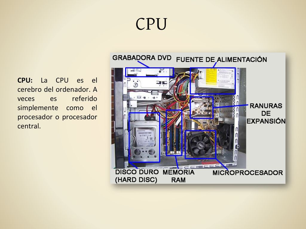 CPU CPU: La CPU es el cerebro del ordenador.