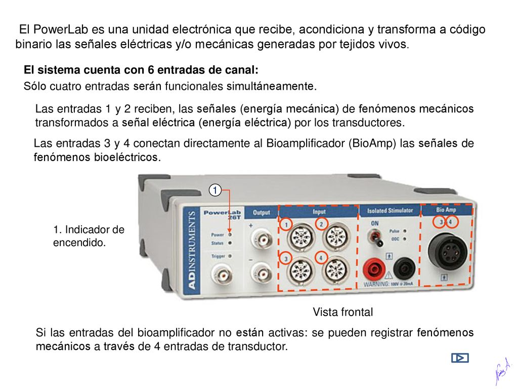 El PowerLab es una unidad electrónica que recibe, acondiciona y transforma a código binario las señales eléctricas y/o mecánicas generadas por tejidos vivos.