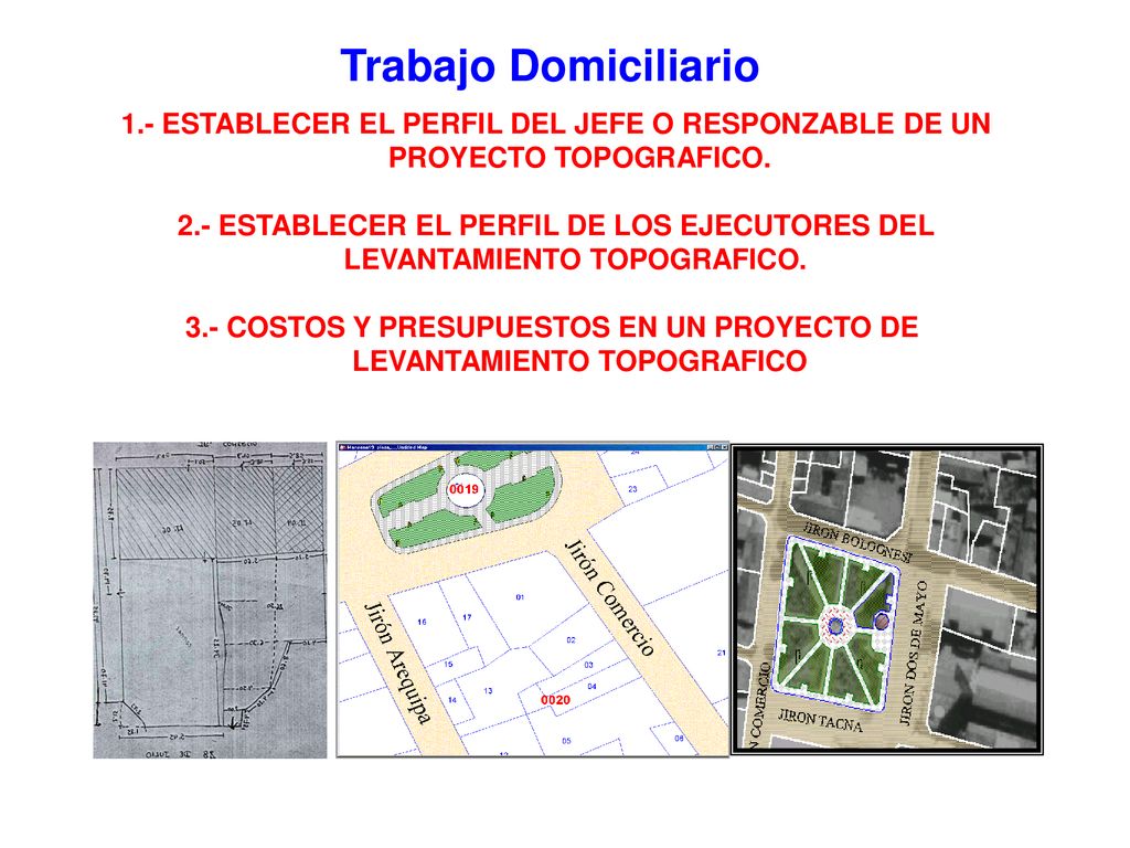 Trabajo Domiciliario 1.- ESTABLECER EL PERFIL DEL JEFE O RESPONZABLE DE UN. PROYECTO TOPOGRAFICO. 2.- ESTABLECER EL PERFIL DE LOS EJECUTORES DEL.