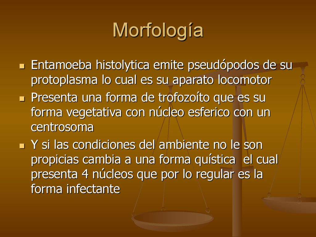 Morfología Entamoeba histolytica emite pseudópodos de su protoplasma lo cual es su aparato locomotor.