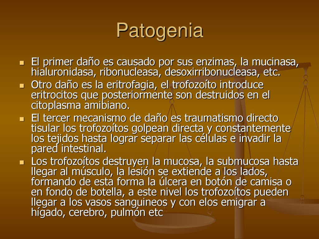 Patogenia El primer daño es causado por sus enzimas, la mucinasa, hialuronidasa, ribonucleasa, desoxirribonucleasa, etc.