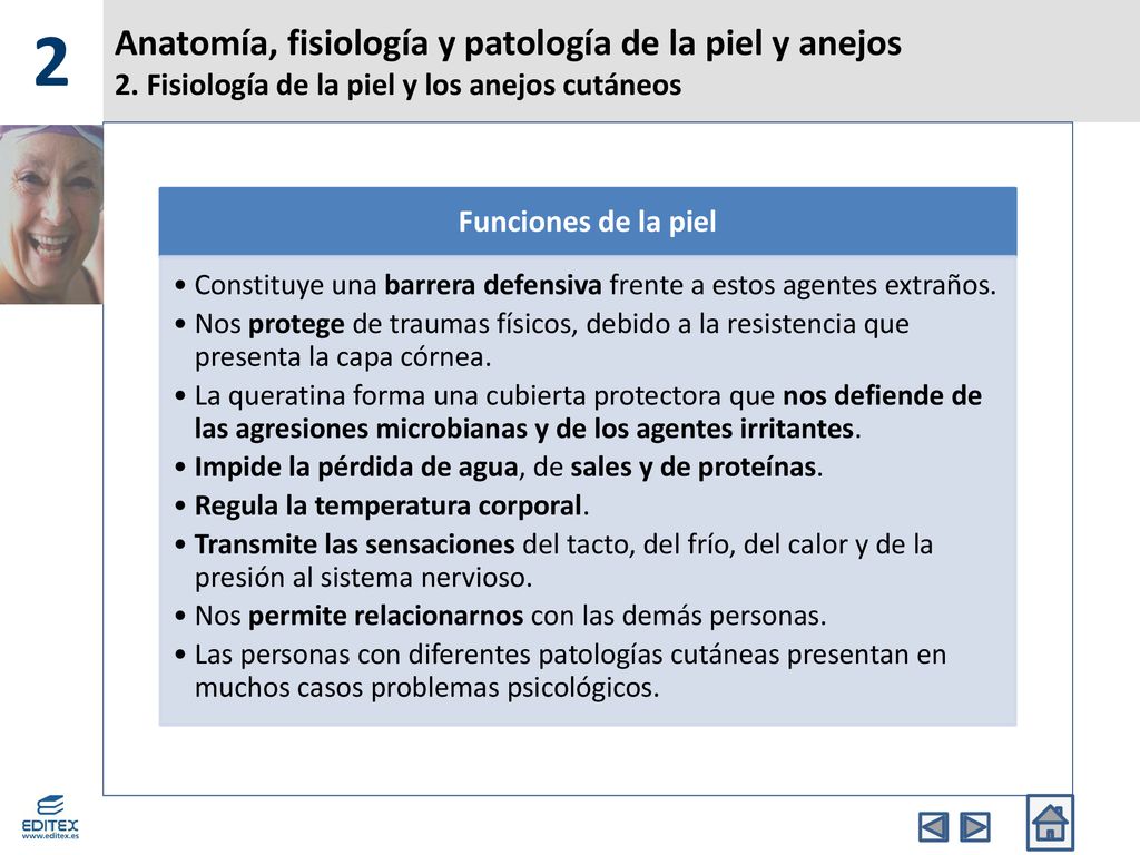 2 Anatomía, fisiología y patología de la piel y anejos 2. Fisiología de la piel y los anejos cutáneos.