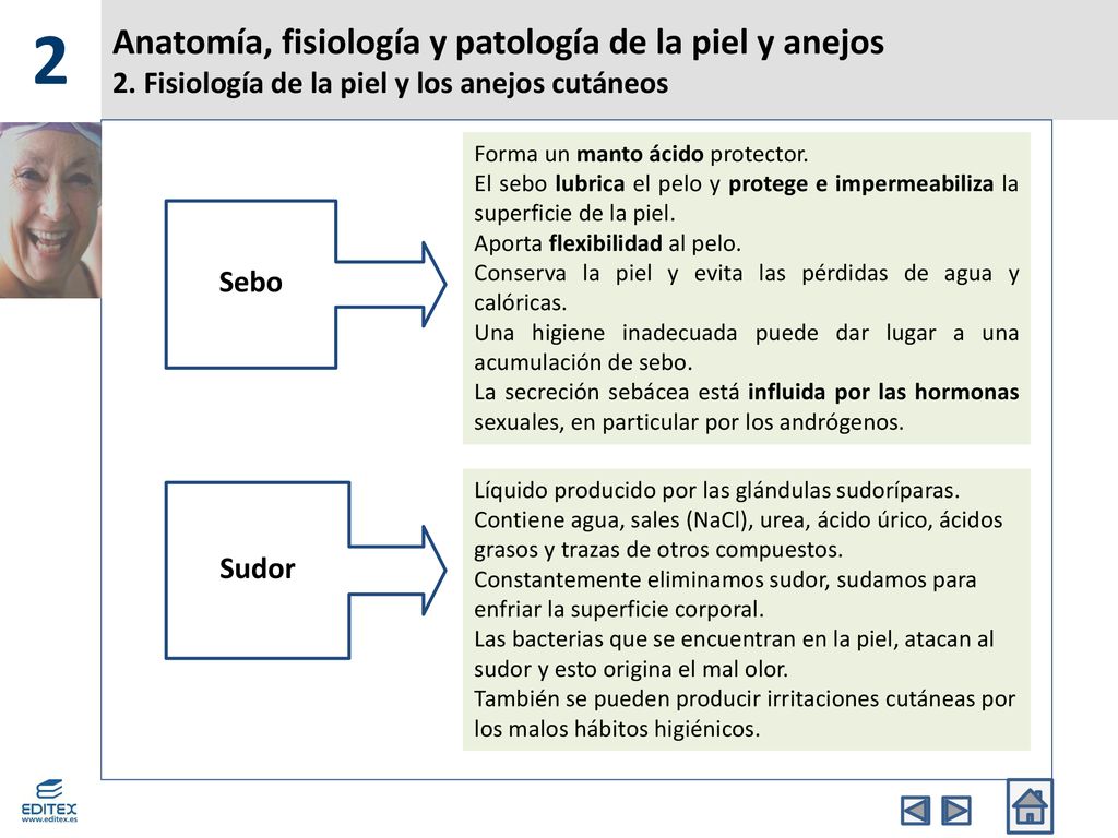 2 Anatomía, fisiología y patología de la piel y anejos 2. Fisiología de la piel y los anejos cutáneos.