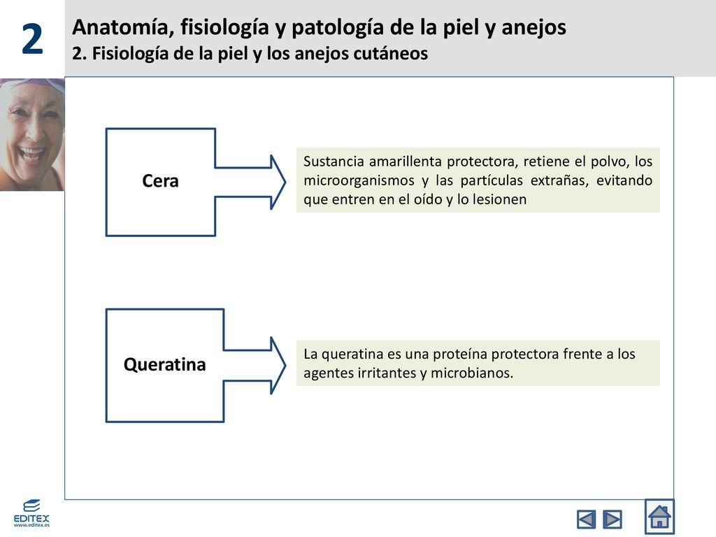 2 Anatomía, fisiología y patología de la piel y anejos 2. Fisiología de la piel y los anejos cutáneos.