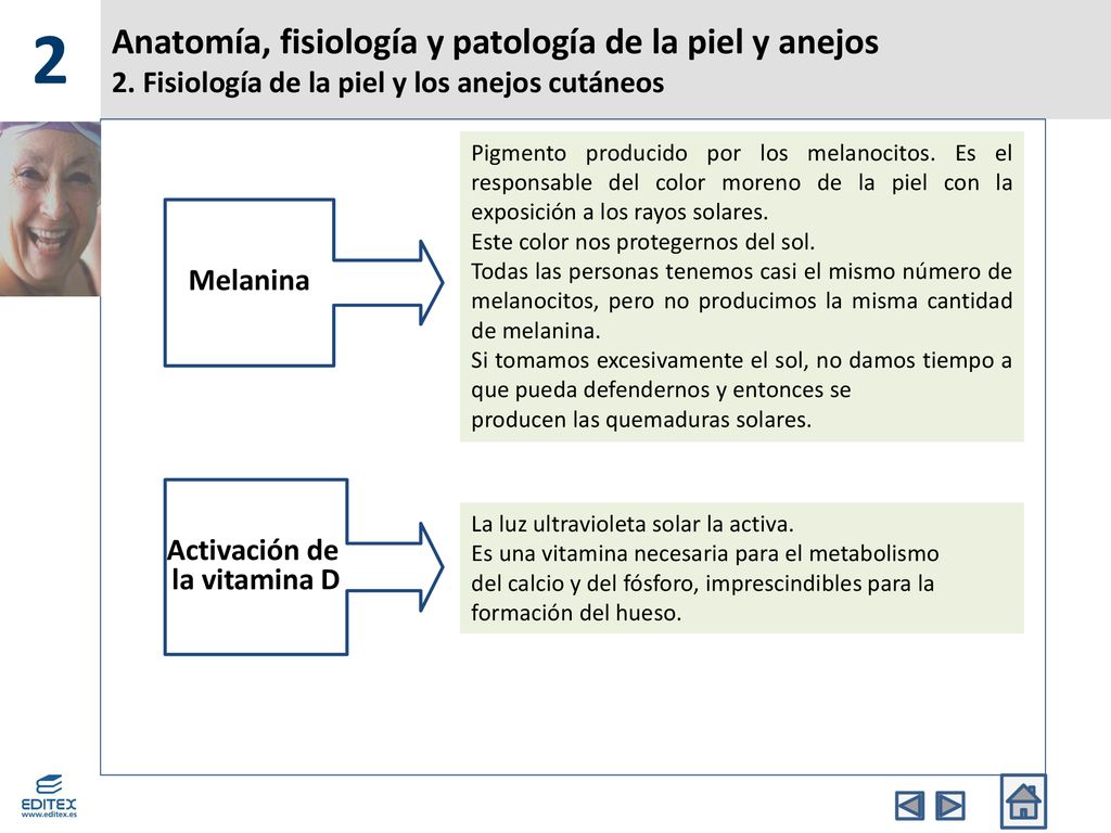 2 Anatomía, fisiología y patología de la piel y anejos 2. Fisiología de la piel y los anejos cutáneos.