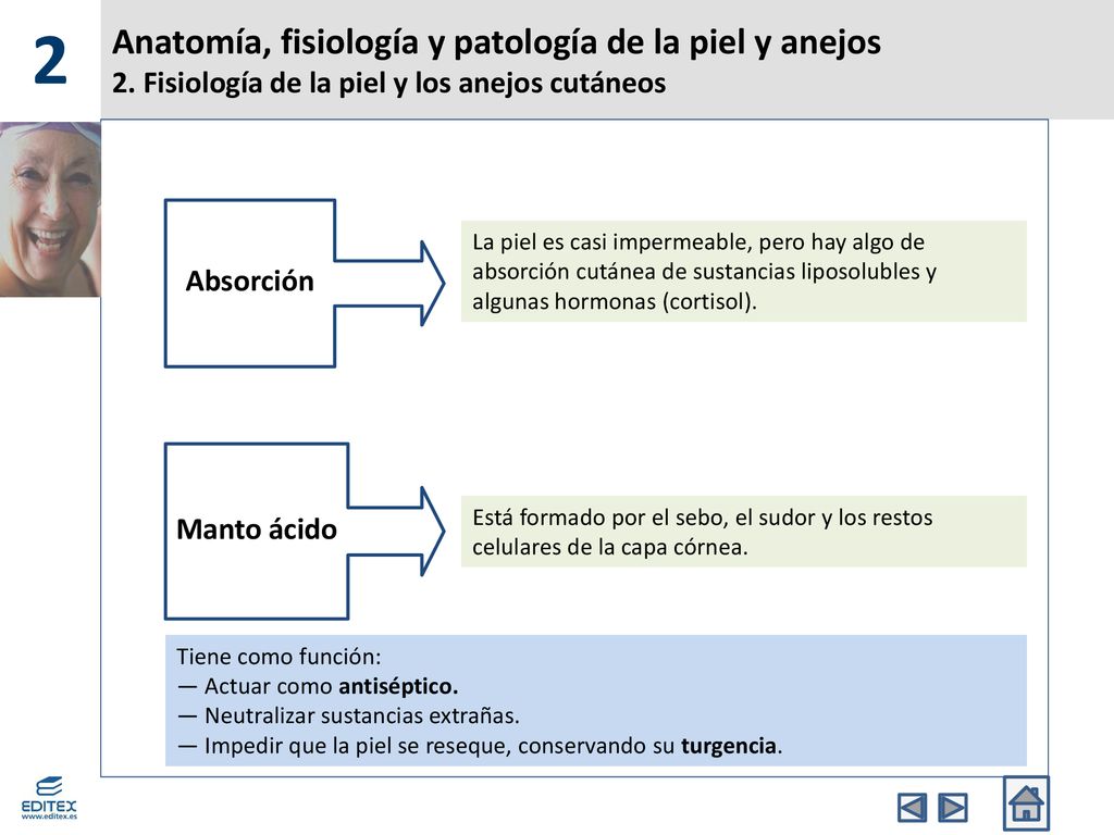 2 Anatomía, fisiología y patología de la piel y anejos 2. Fisiología de la piel y los anejos cutáneos.