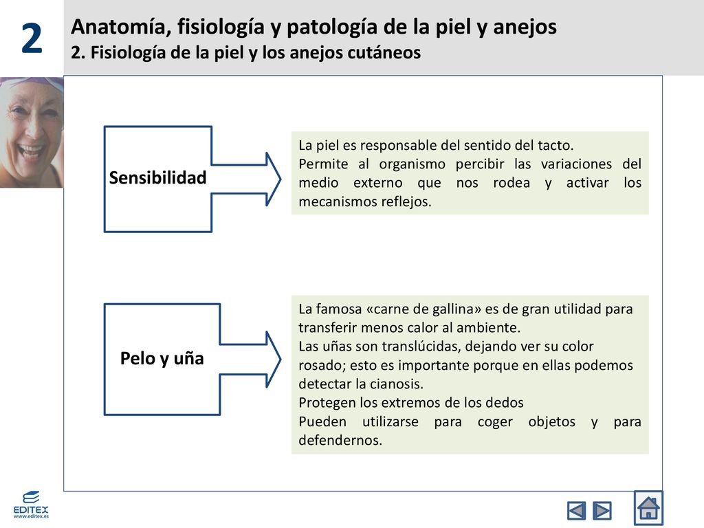 2 Anatomía, fisiología y patología de la piel y anejos 2. Fisiología de la piel y los anejos cutáneos.