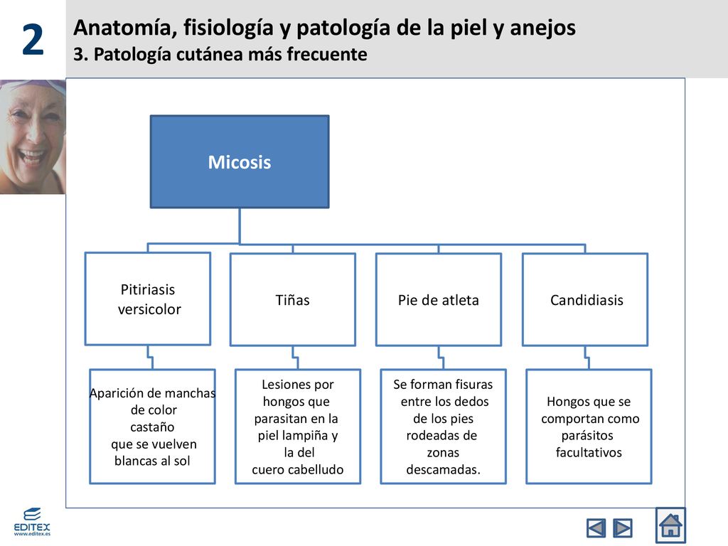 2 Anatomía, fisiología y patología de la piel y anejos 3. Patología cutánea más frecuente. Micosis.