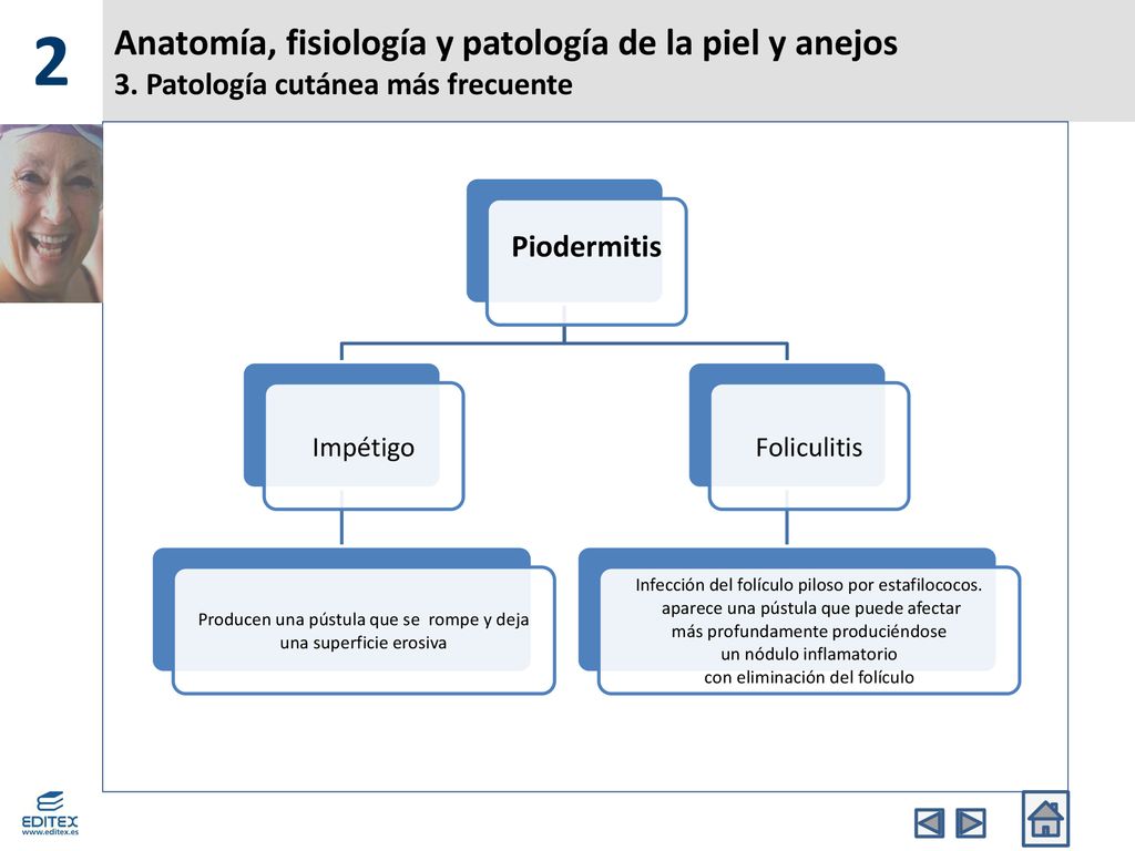 2 Anatomía, fisiología y patología de la piel y anejos 3. Patología cutánea más frecuente. Piodermitis.