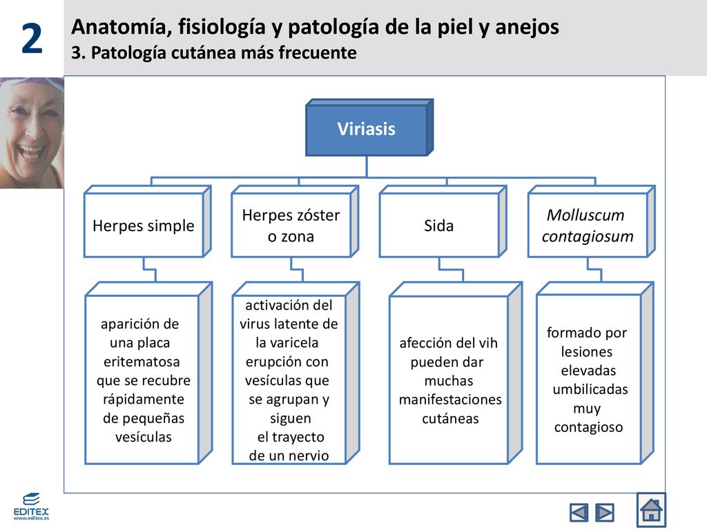 2 Anatomía, fisiología y patología de la piel y anejos 3. Patología cutánea más frecuente. Viriasis.