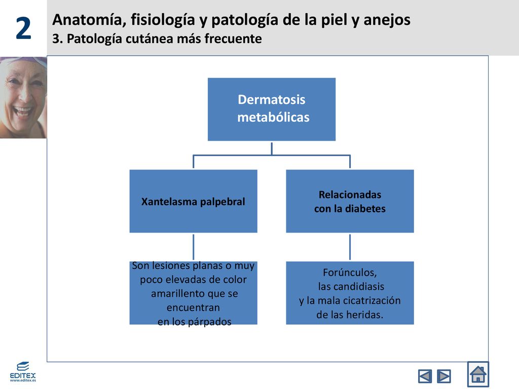 2 Anatomía, fisiología y patología de la piel y anejos 3. Patología cutánea más frecuente. Dermatosis.