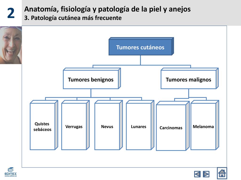 2 Anatomía, fisiología y patología de la piel y anejos 3. Patología cutánea más frecuente. Tumores cutáneos.
