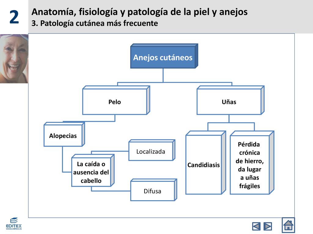 2 Anatomía, fisiología y patología de la piel y anejos 3. Patología cutánea más frecuente. Anejos cutáneos.