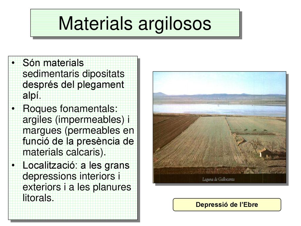 Materials argilosos Són materials sedimentaris dipositats després del plegament alpí.