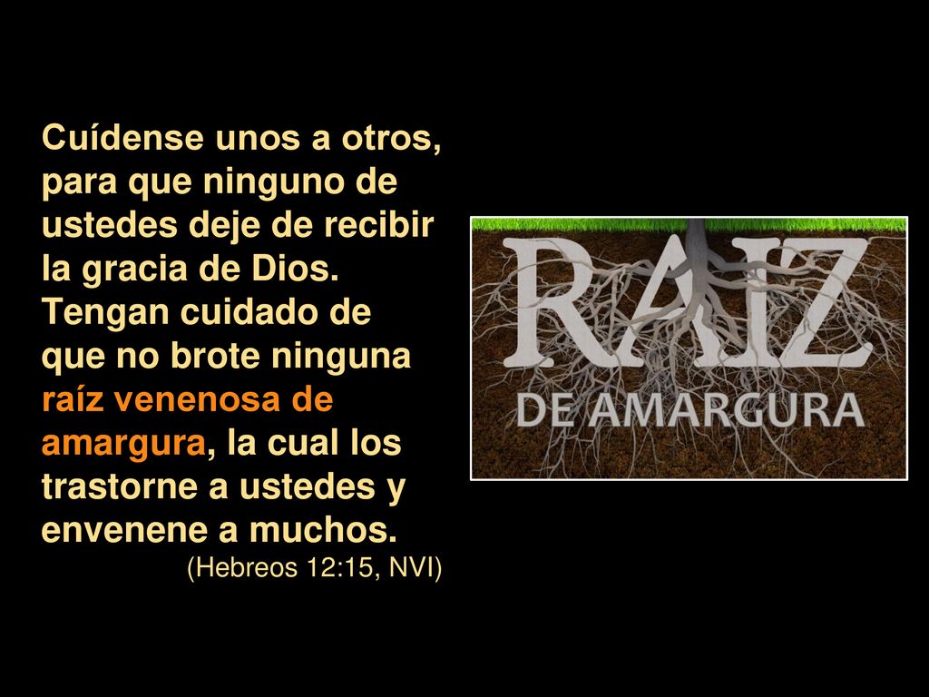 Cuídense unos a otros, para que ninguno de ustedes deje de recibir la gracia de Dios. Tengan cuidado de que no brote ninguna raíz venenosa de amargura, la cual los trastorne a ustedes y envenene a muchos.