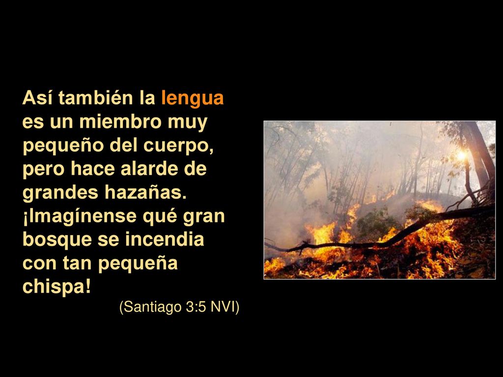 Así también la lengua es un miembro muy pequeño del cuerpo, pero hace alarde de grandes hazañas. ¡Imagínense qué gran bosque se incendia con tan pequeña chispa!