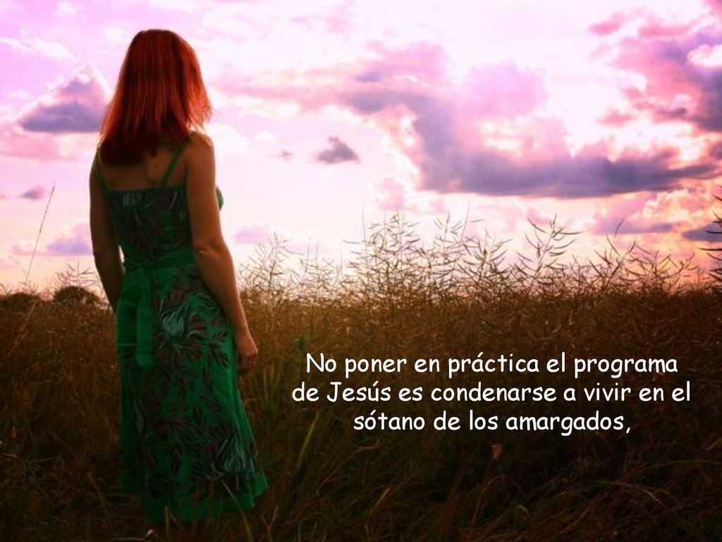 No poner en práctica el programa de Jesús es condenarse a vivir en el sótano de los amargados,