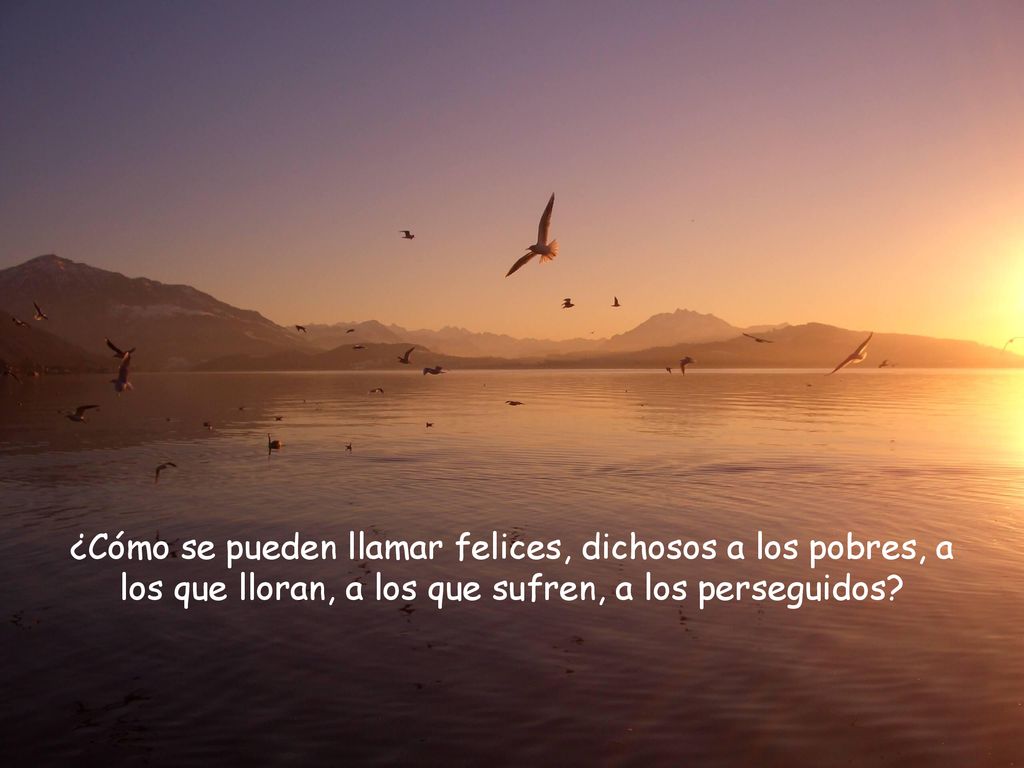 ¿Cómo se pueden llamar felices, dichosos a los pobres, a los que lloran, a los que sufren, a los perseguidos